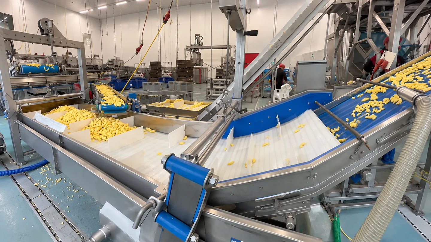 Fresh-cut apple line